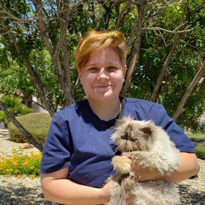 Meet the Team | Island Pet Hospital